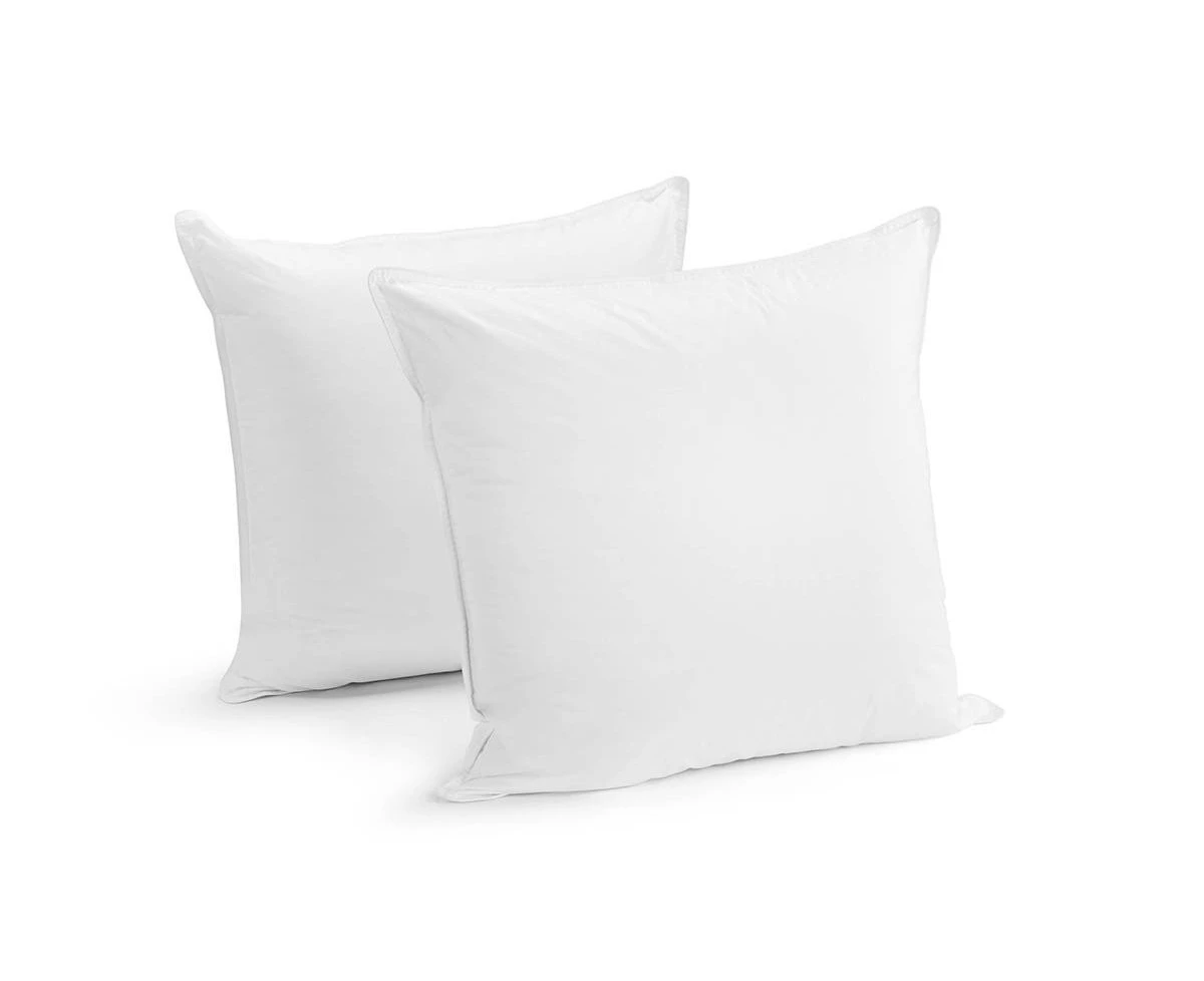 Ovela Set of 2 Microfibre European Pillows