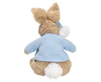 Peter Rabbit Animated Bedtime Soft Toy - Brahms Lullaby