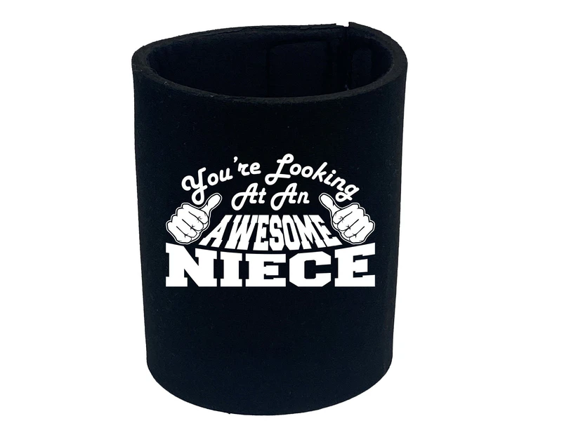 Youre Looking At An Awesome Niece - Funny Novelty Can Cooler Stubby Holder