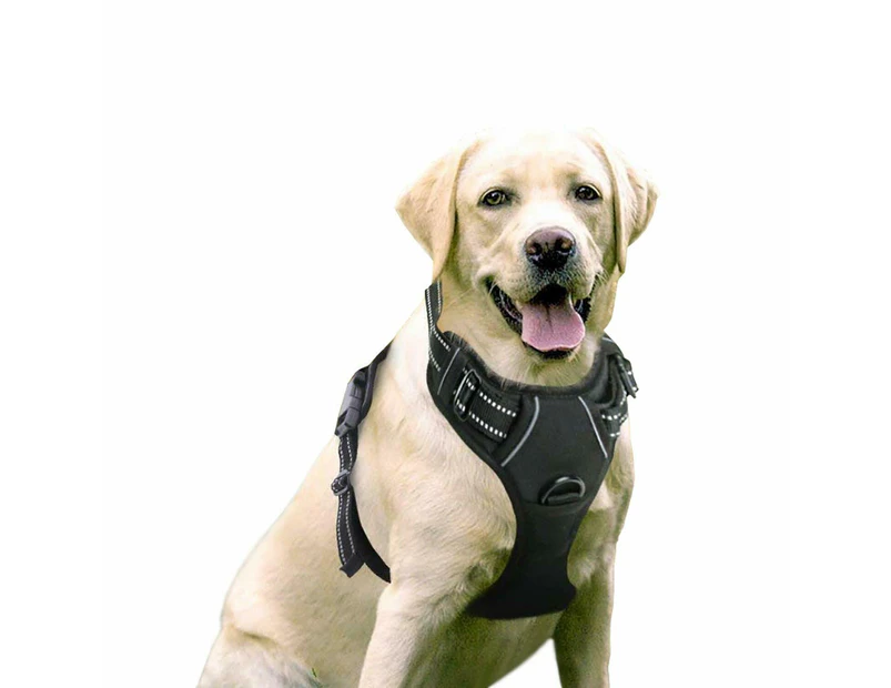 Rabbitgoo Front Range Dog Harness No pull Adjustable Outdoor Catch