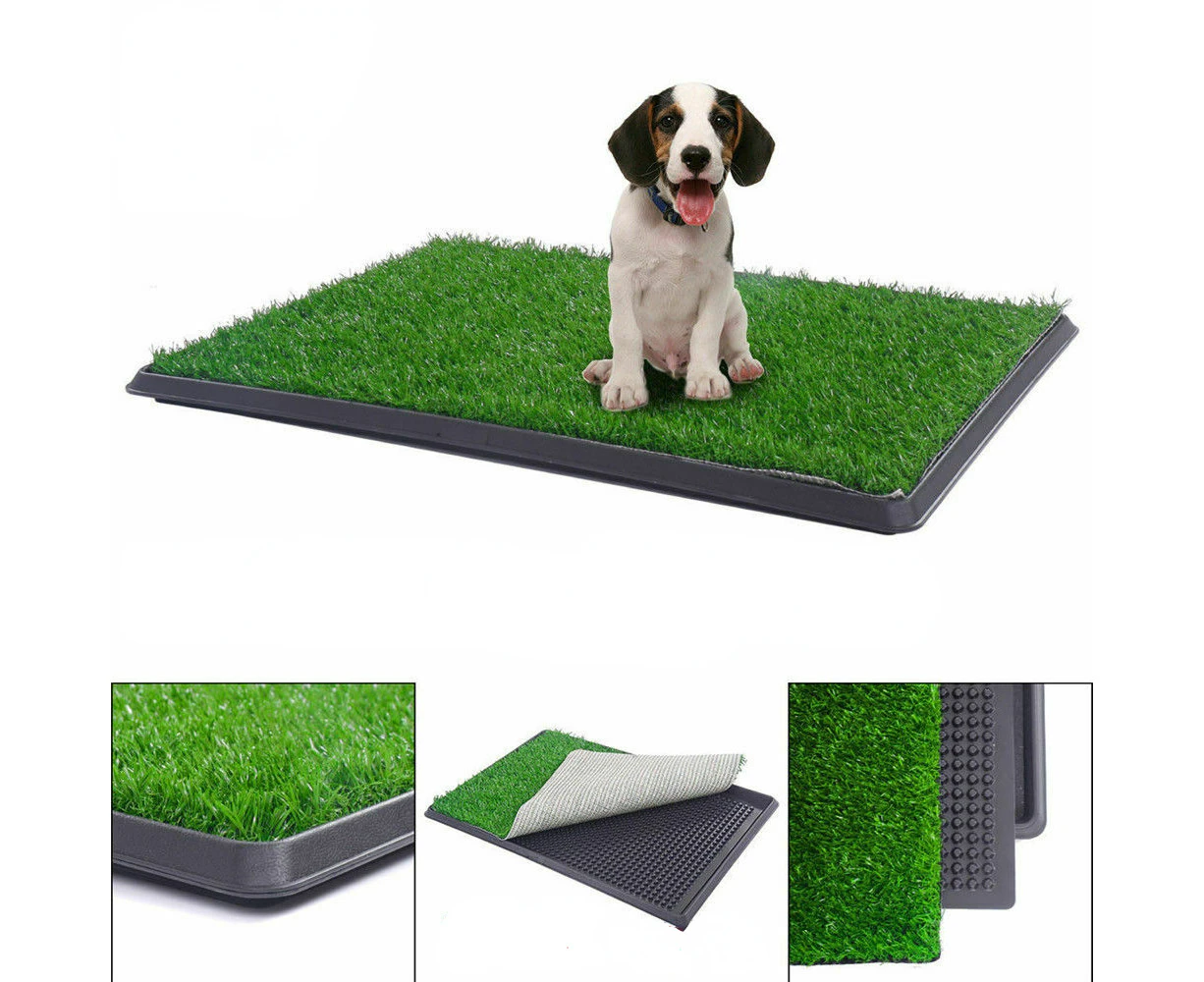 Friter Indoor Dog Pet Potty Zoom Training Portable Grass Mat Toilet Large Loo Pad Tray