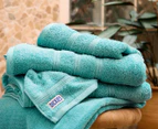 Dickies Antibacterial 5-Piece Towel Set - Seafoam