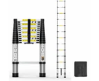 Telescopic Extension Ladder With Safe Lock - 3.8M
