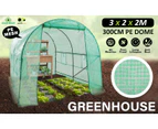 Home Ready Greenhouse Walk-In Shed PE Dome Hoop Tunnel Polytunnel 3x2x2M
