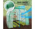 Home Ready Greenhouse Walk-In Shed PE Dome Hoop Tunnel Polytunnel 3x2x2M