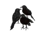 6 x Halloween Decoration Crow Artificial Raven Crow With Feathers Black Bird