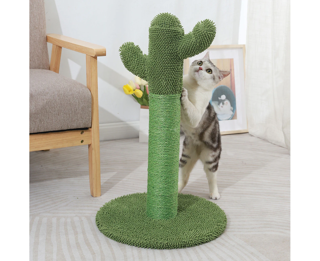 Pawz Cactus Cat Scratching Posts Pole Tree Kitten Climbing Scratcher Furniture