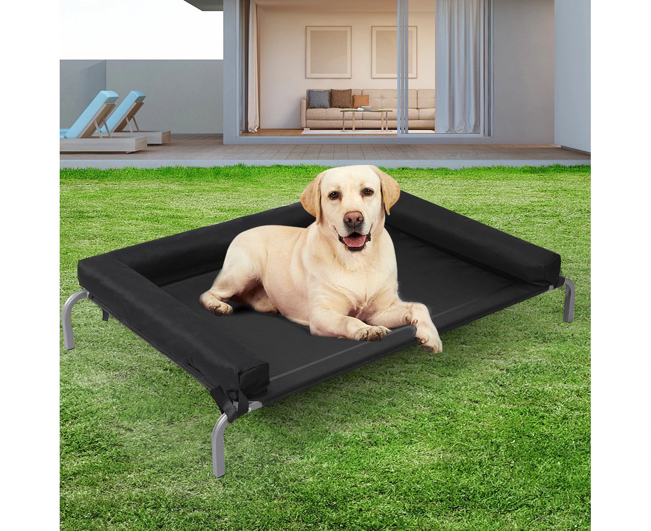 Pawz Elevated Pet Bed Dog Puppy Cat Trampoline Hammock Raised Heavy Duty Black M