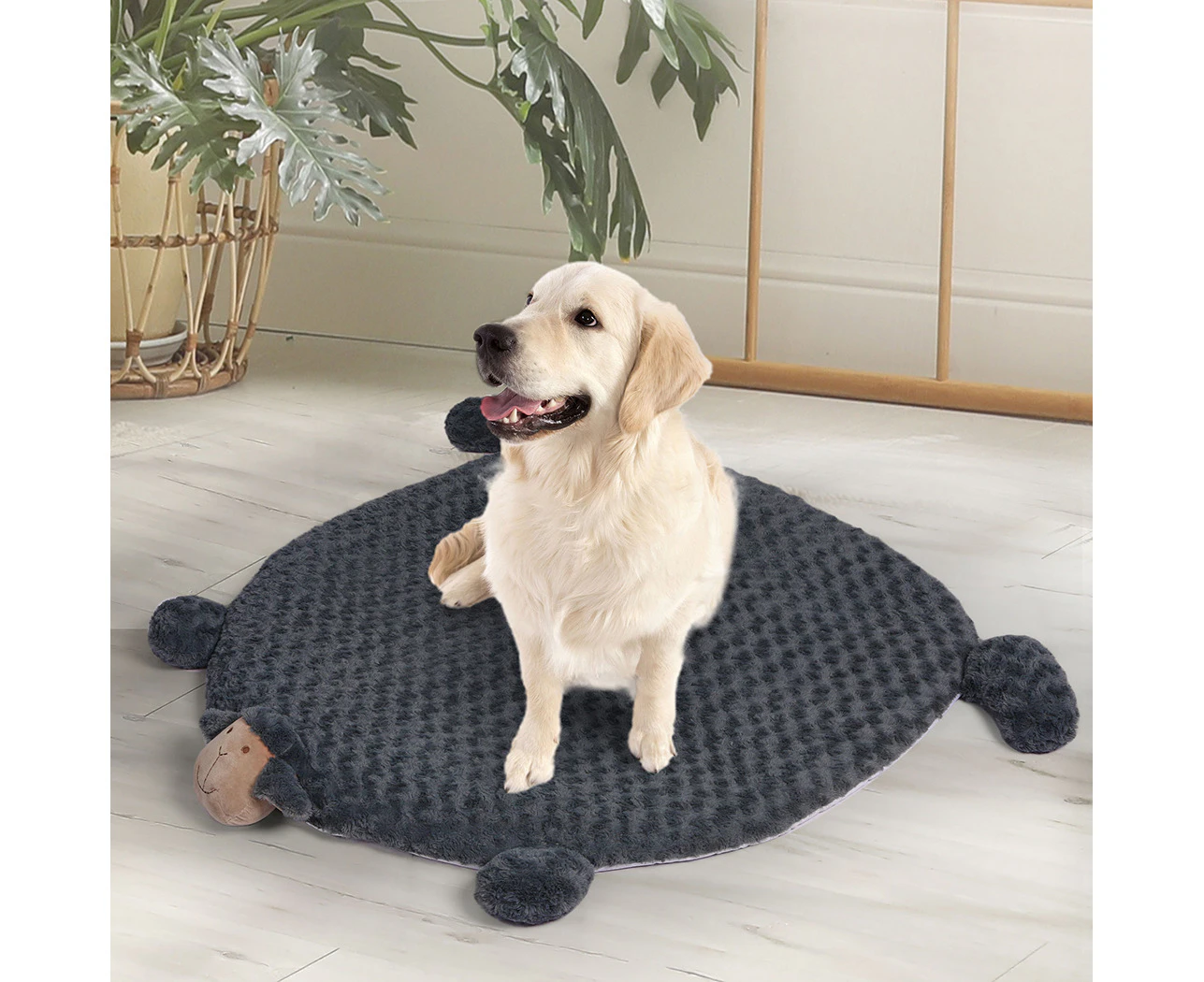 Pawz Pet Bed Cat Calming Bed Dog Squeaky Toy Cushion Puppy Memory Foam Mat M