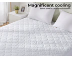 Dreamz Mattress Protector Topper Cool Fabric Pillowtop Waterproof Cover Double - White