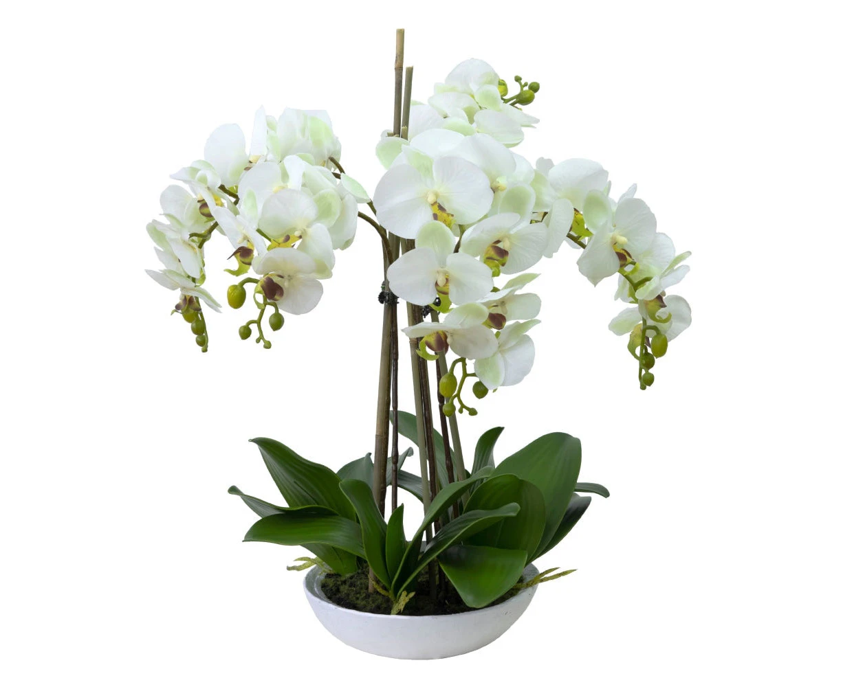 Glamorous Fusion Phalaenopsis Orchid Artificial Plant Flower Decorative 60cm White Bowl - Apple Green