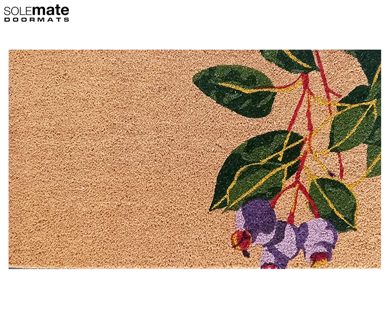 Solemate Latex Backed Coir Gum Nut 45x75cm Slimline Outdoor Stylish Doormat