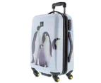 NATIONAL GEOGRAPHIC National Geographic Penguin Hard Side Luggage 2 Piece Set