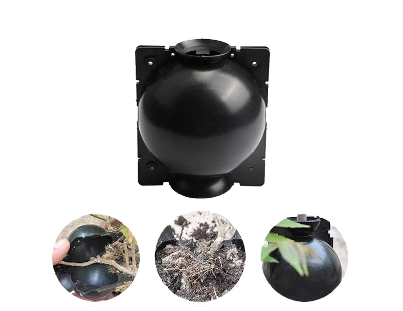 5PCs Plant Root Growing Box