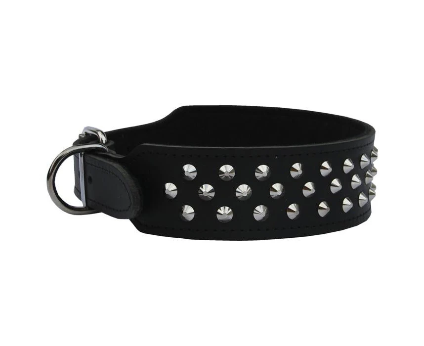 Dog Collar Staffy/Bull Terrier  Leather with Studs 43mm - Black