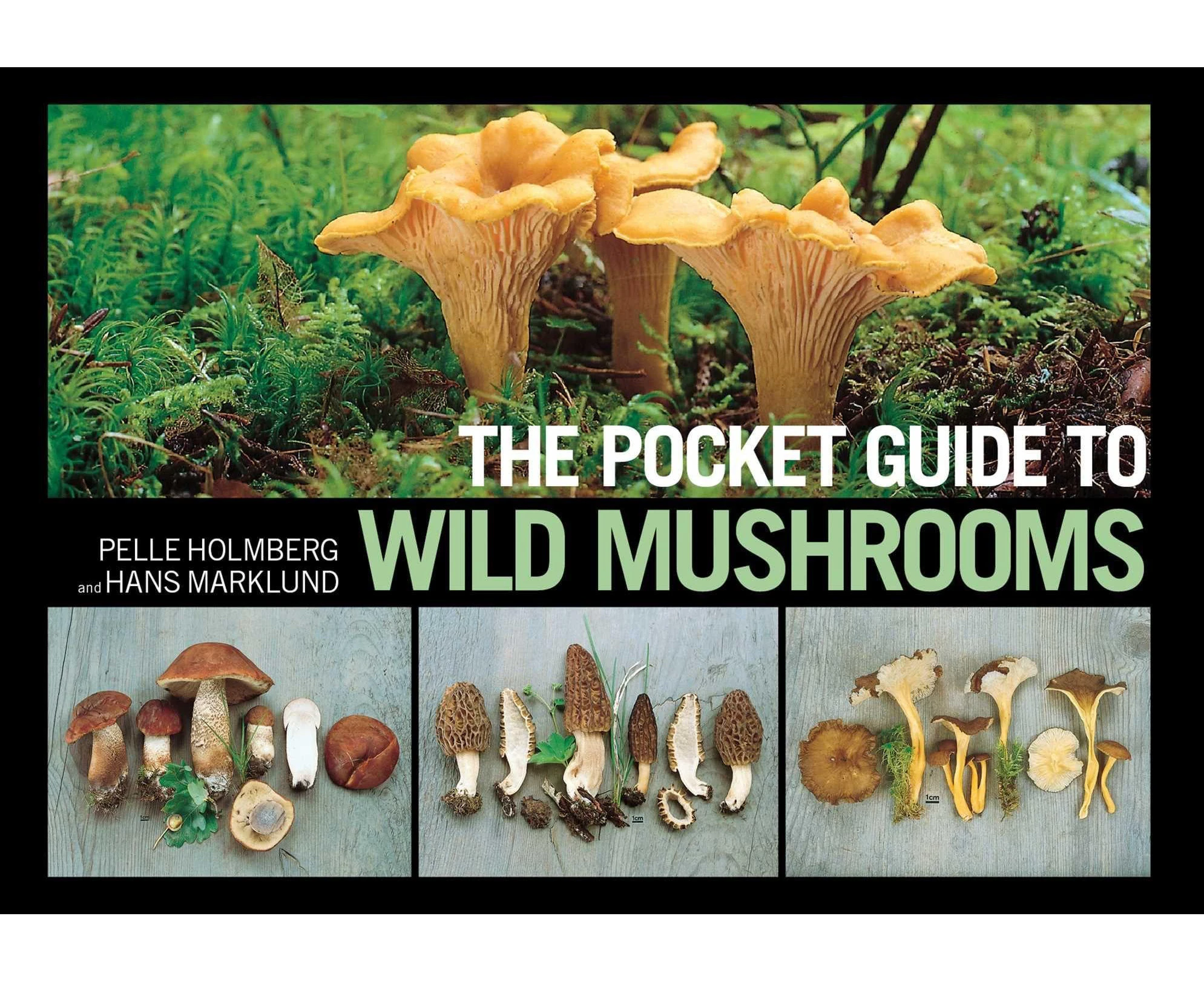 The Pocket Guide to Wild Mushrooms: Helpful Tips for Mushrooming in the Field