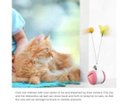 Miserwe Cat Balance Swing Car Toy with Catnip Ball Feather Stick Interactive Pet Toys-Pink