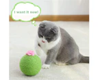 Miserwe Cactus Cat Scratcher Balls Interactive Tilting Toys for Cats and Kittens