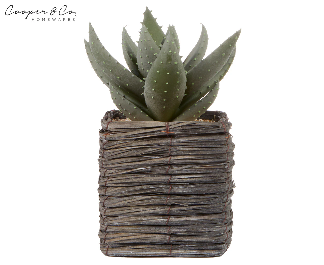 Cooper & Co. 29cm Aloe Vera Artificial Decorative Plant In Basket In Pot Set