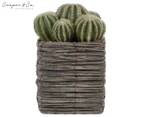 Cooper & Co. 25cm Cactus Artificial Decorative Plant In Woven Wooden Pot Set