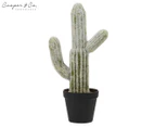 Cooper & Co. 41cm Mexican Cactus Artificial Potted Plant