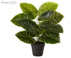 Cooper & Co. 45cm Taro Artificial Potted Plant - Green