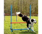 Petscene Dog Agility Equipment 5PC Set Obstacle Course Pet Training Kit Supplies Jump Hurdle Tunnel Poles Pause Box Carrying Bags