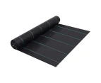 Weed & Root Control Mat Black 2x100 m PP