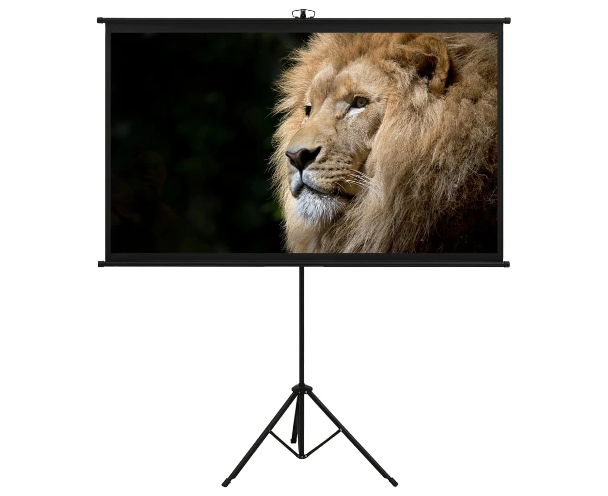 vidaXL Projection Screen with Tripod Home Theater Office Presentation Screen