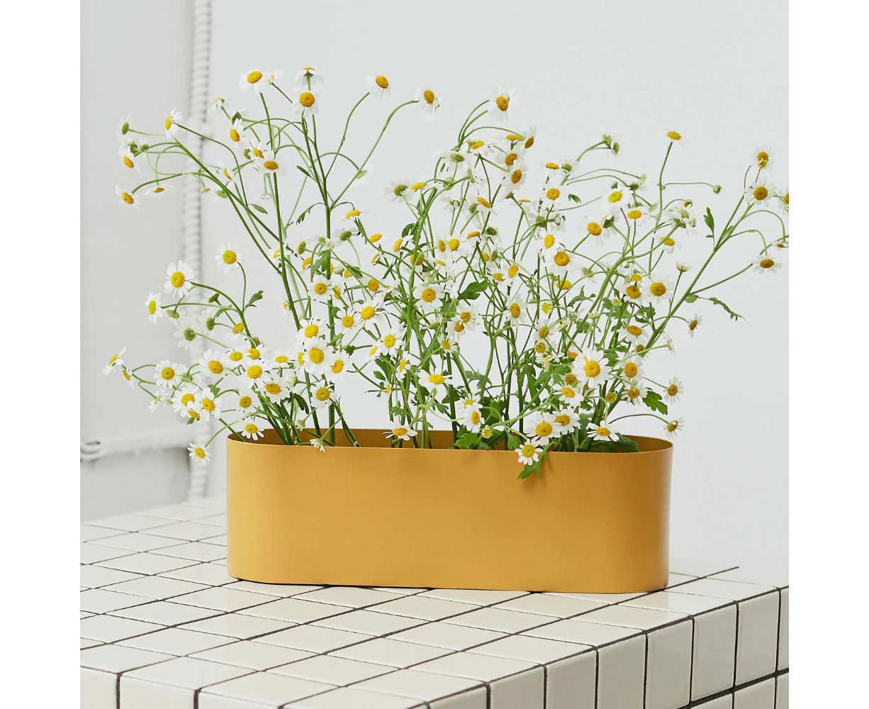 Urban Eden 26x8x8cm Yellow Flower & Herb Kitchen Planter