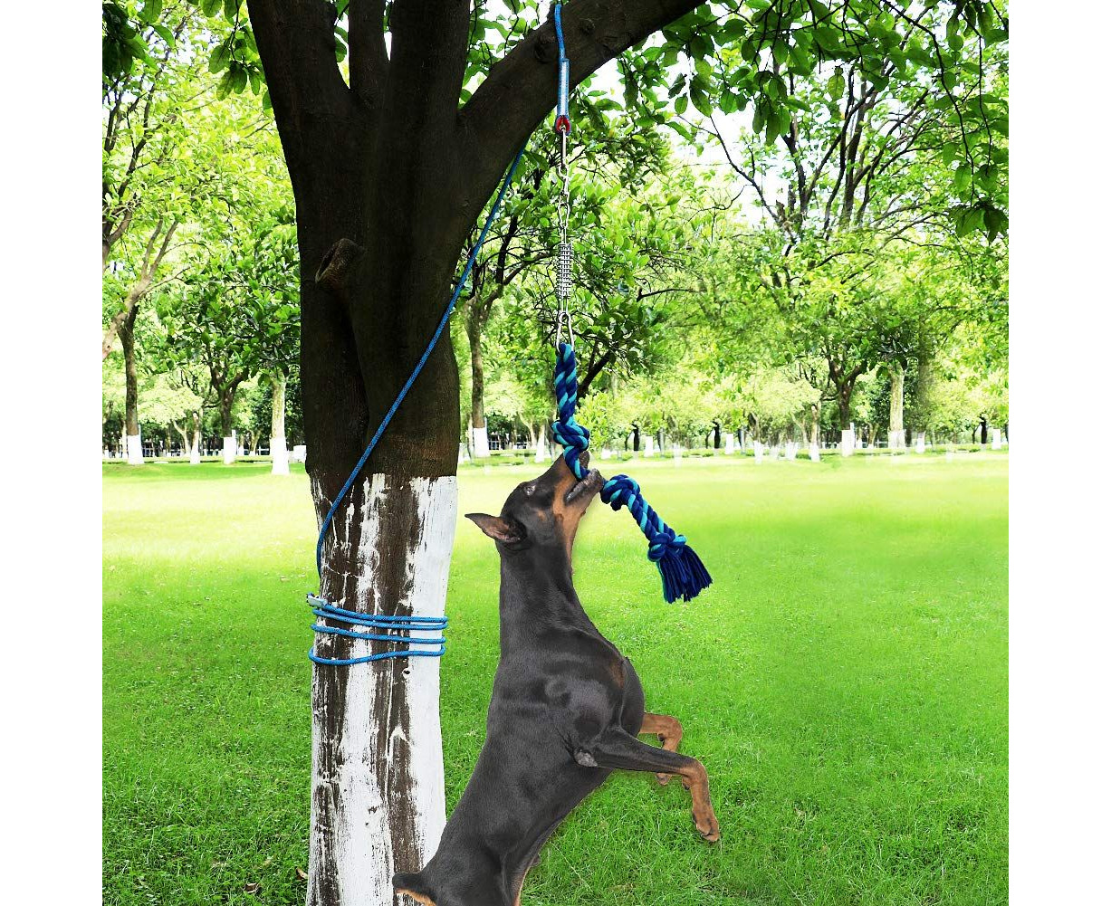 16ft Dog Rope Spring Pole Toy Pull Tether Tug of War Hanging