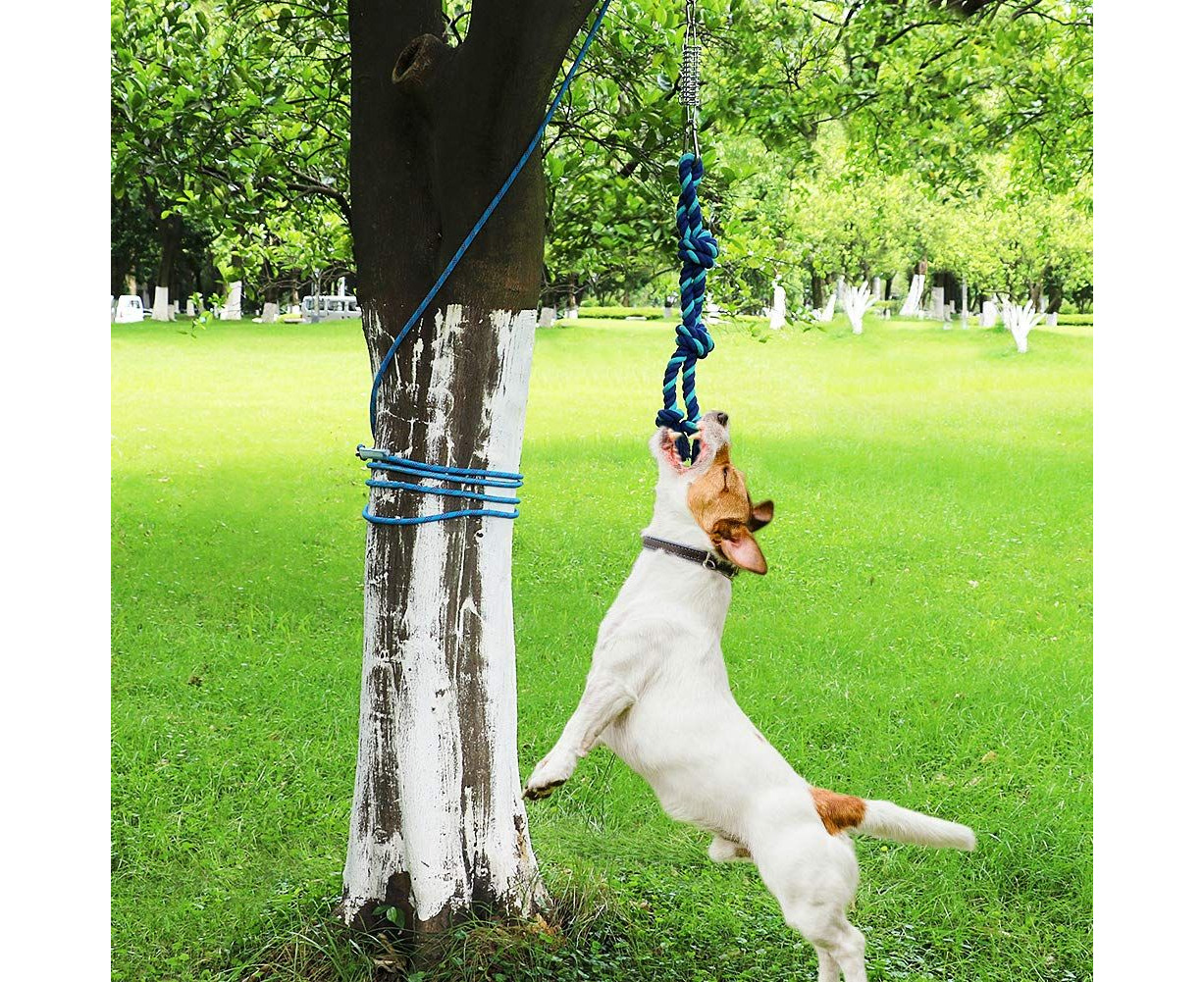 Tree tug clearance for dogs