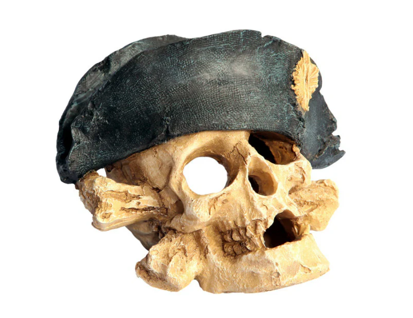 Aqua One Skull with Hat Ornament (36789)