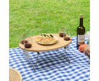 West Avenue Oval Travel Picnic Table - Natural/Silver