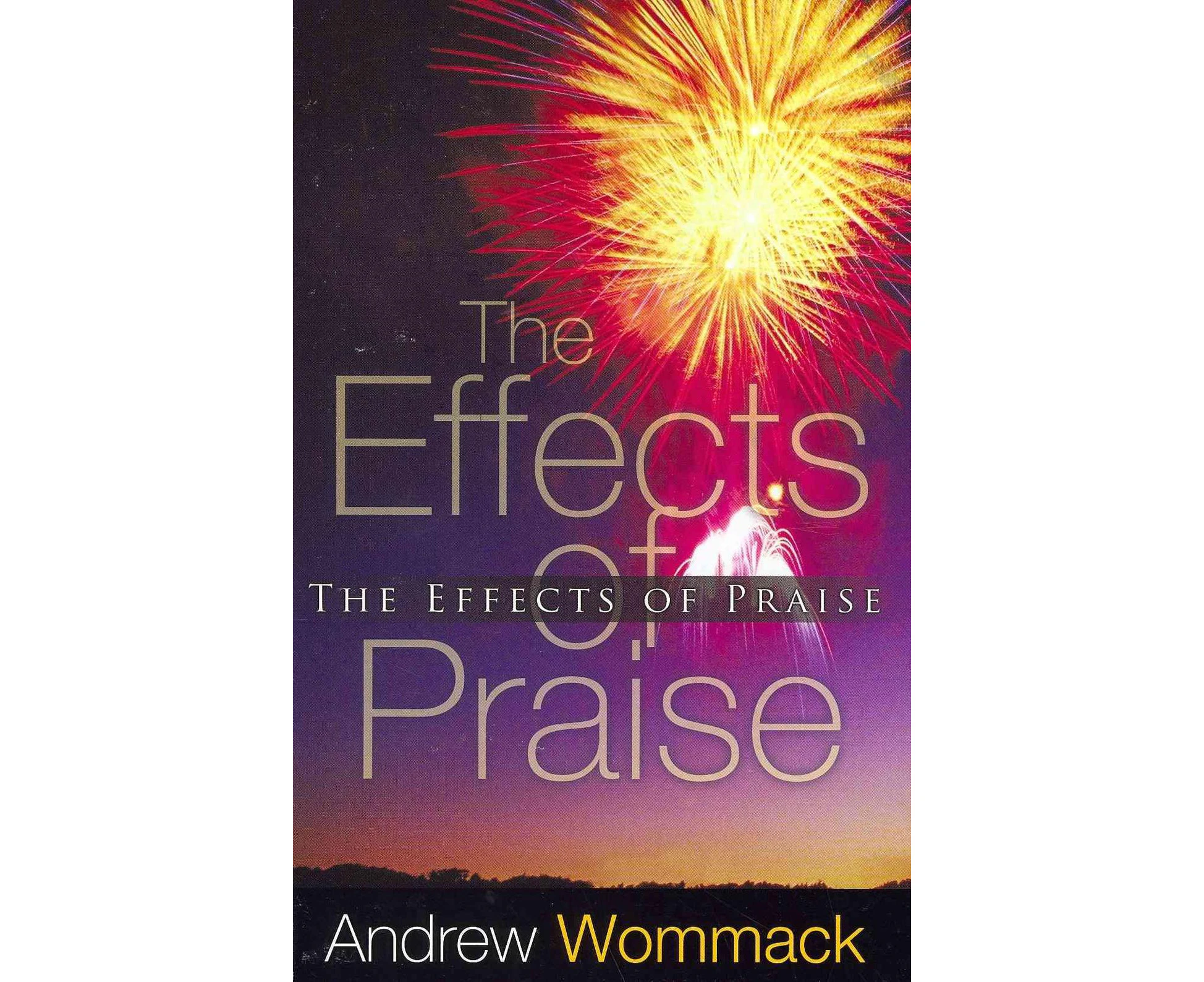 The Effects of Praise