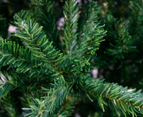 Sherwood Artificial Christmas Trees Green 240cm
