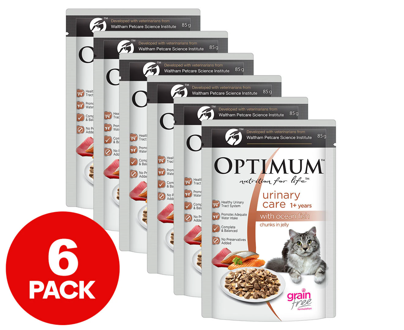 Bulk cat food outlet afterpay