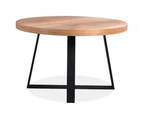 Petunia  Round Dining Table 120cm Elm Timber Wood Black Metal Leg - Natural