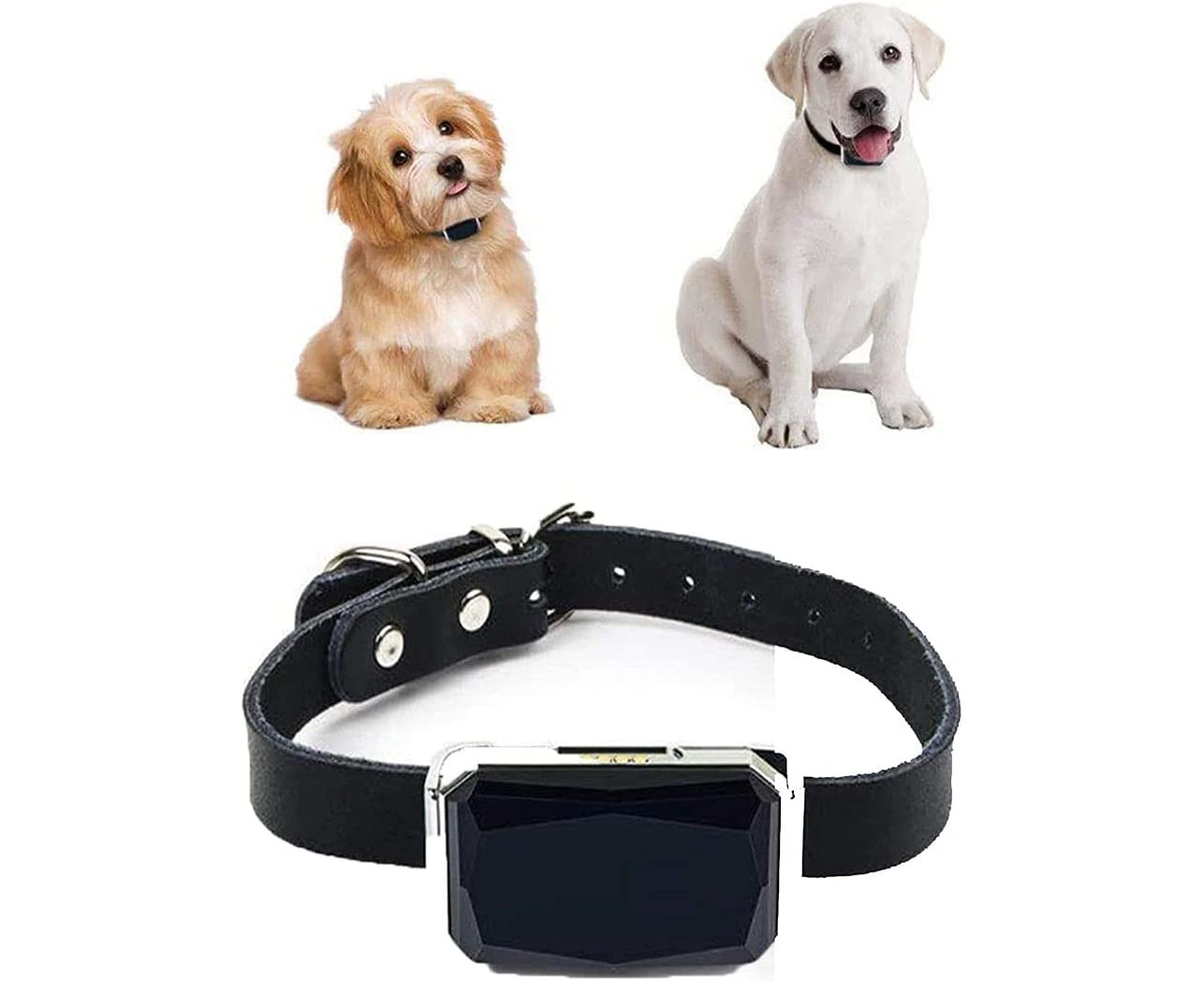 Collar Locator Smart Wearable GPS Pet Waterproof Anti-Lost Anti-Theft Tracker Pet Supplies