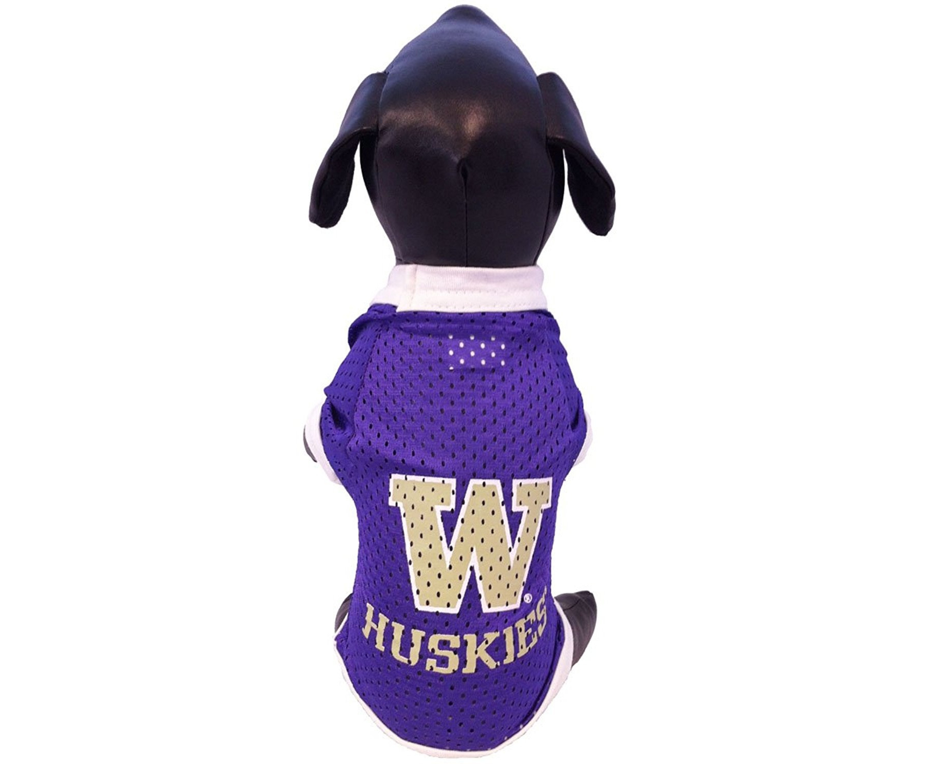 ncaa dog apparel