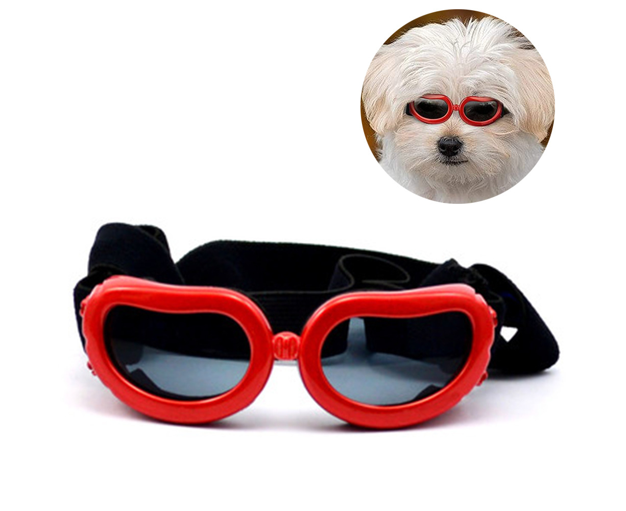 dog sunglasses petsmart