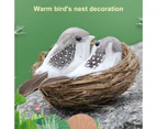 Bird Ornament Lifelike Long Lasting Birds Nest Bird Decor Miniature Birds for Party-Green + Black + White