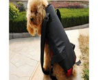 Pet Dogs Cats Outdoor Carrier Backpack Canvas Legs Out Front Shoulder Bag- S
