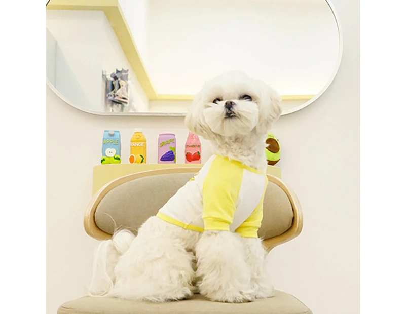 Pet Sweatershirt Fruit Pattern Printing Color Block Cotton Round Neck Dog Blouse Pullover for Daily Life-Yellow M