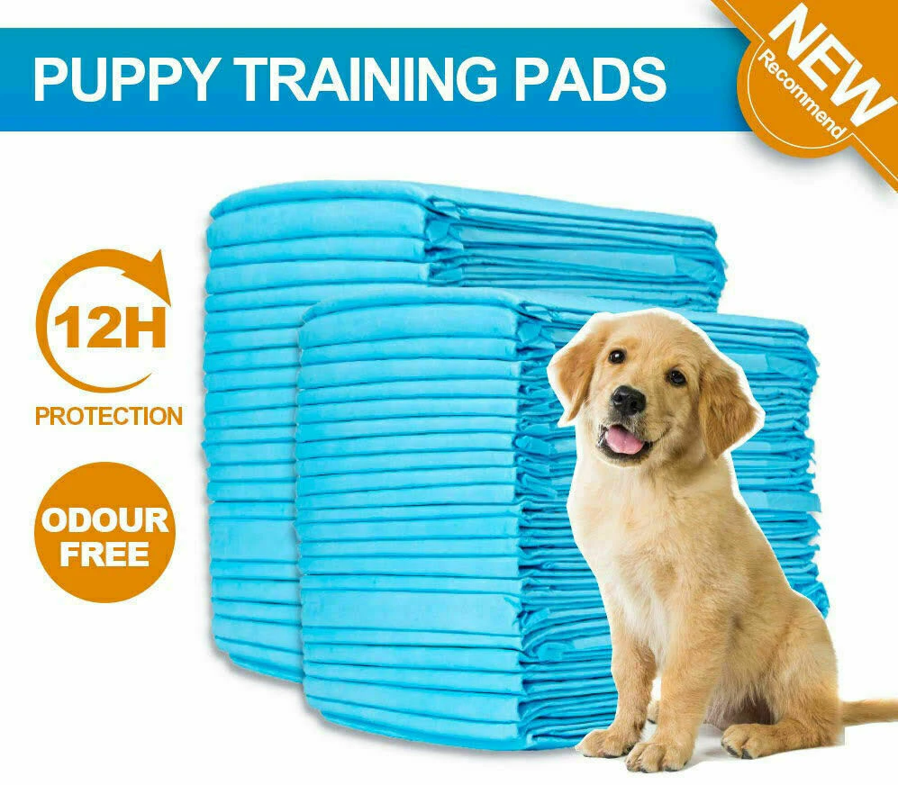 100 Pcs Pet Puppy Dogs Cats Toilet Training Pads