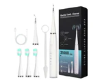 Smart Sonic Dental Scaler Electric Toothbrushes USB Rechargable Adults Toothbrush Dental Calculus Remover Tips Tooth Brush Heads - Black