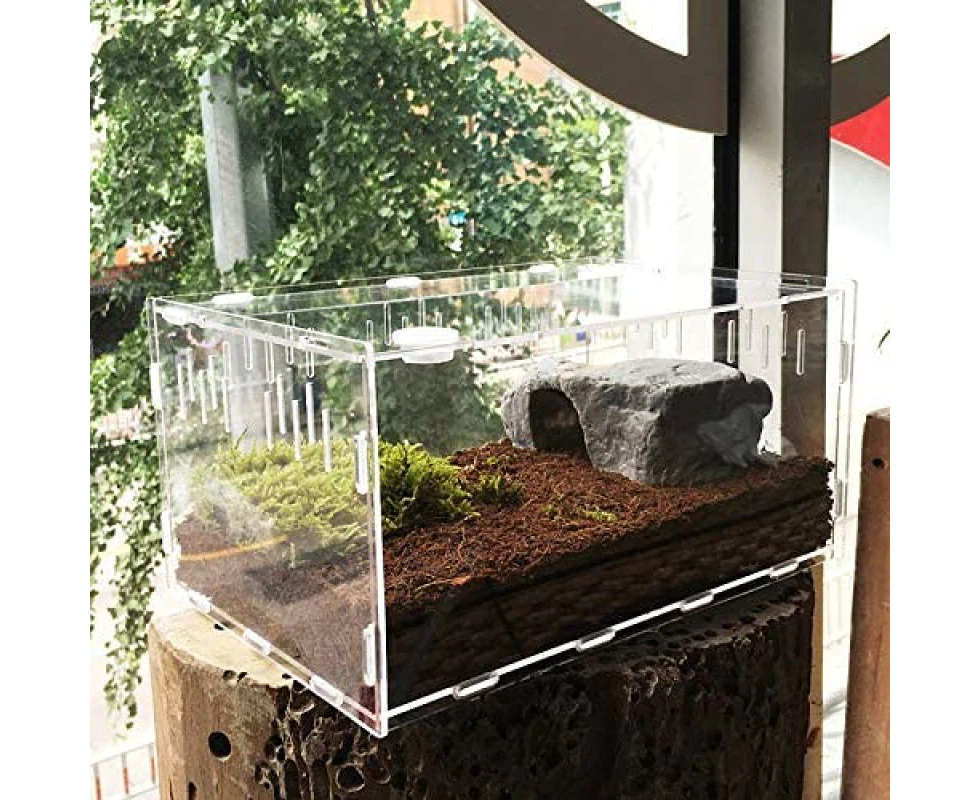 Reptile Terrarium, Tarantula Enclosure, Large Feeding Tarantula Habitat Box for Small Animals Insect Home Office