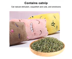 3 Pieces Cat Toys Interactive Soft Plush Catnip Toys Cat Chew Toy Cartoon Expression Cat Pillow Toys for Cat Kitten Teeth Cleaning Playing