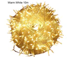 Exquisite String Light Flashing Plastic Beautiful Festive Touch LED Light for Home-Warm White