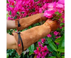1 Pair of Gardening Gloves, Rose Pruning Thorn Resistant Gloves, Gardening Gloves Flower Pets - Dark brown